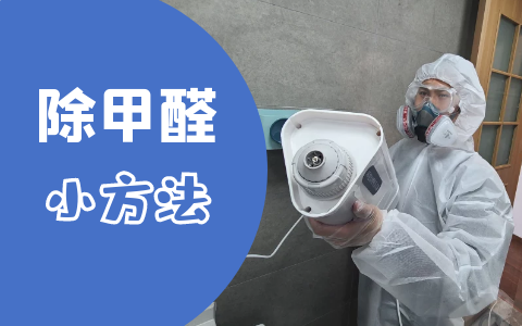 ​什么能够除甲醛